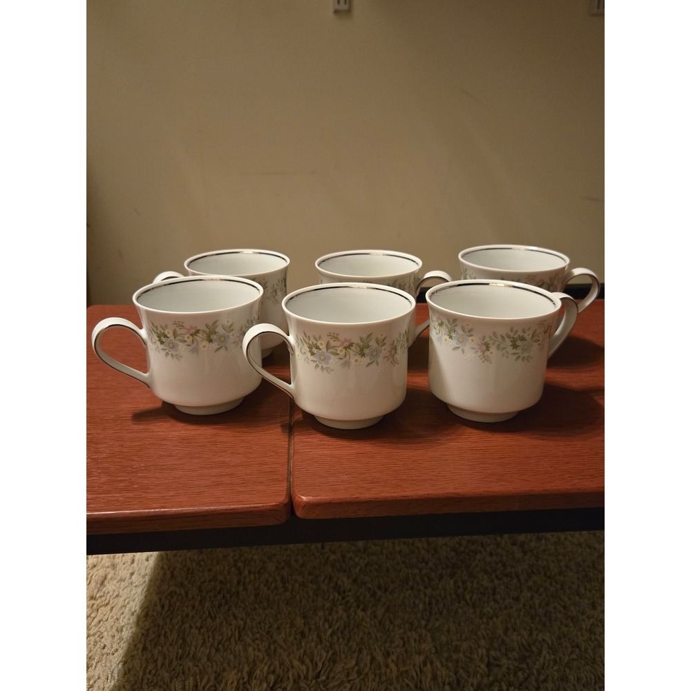 Johann Haviland Bavaria Germany Floral Tea Cups Set of 6 White Silver Rim China